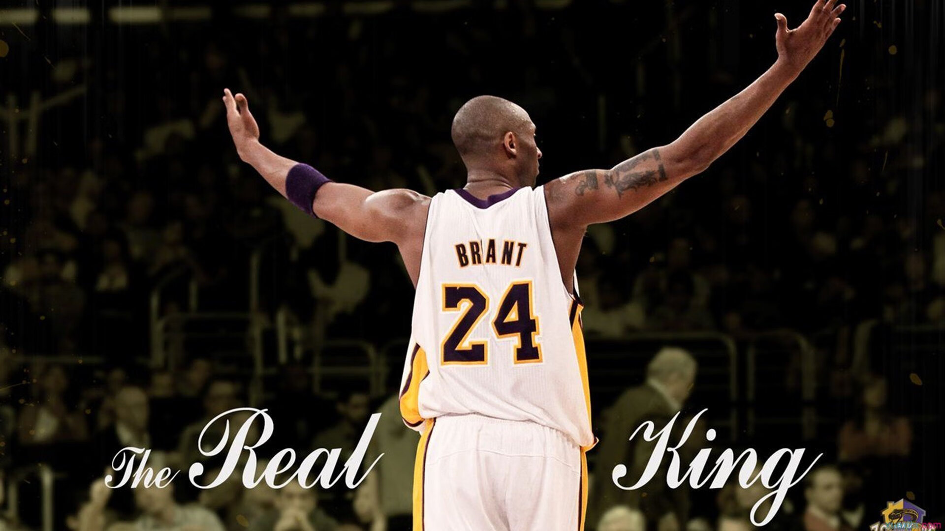 世界排名争夺战之夜,保罗扛起全队