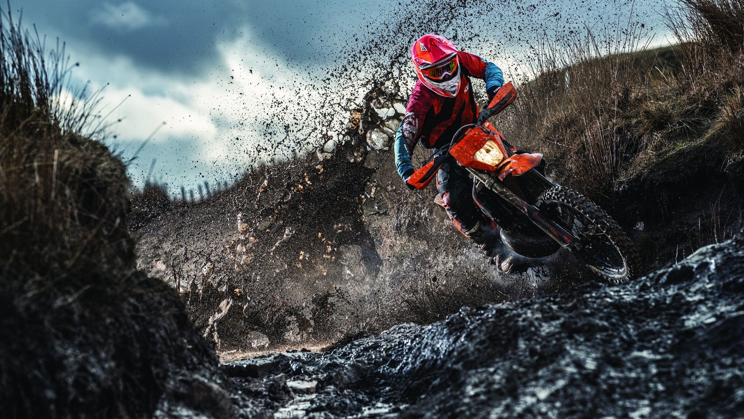 开云体育中国-逆袭之夜，周冠宇领衔哈斯车队翻盘红牛二队